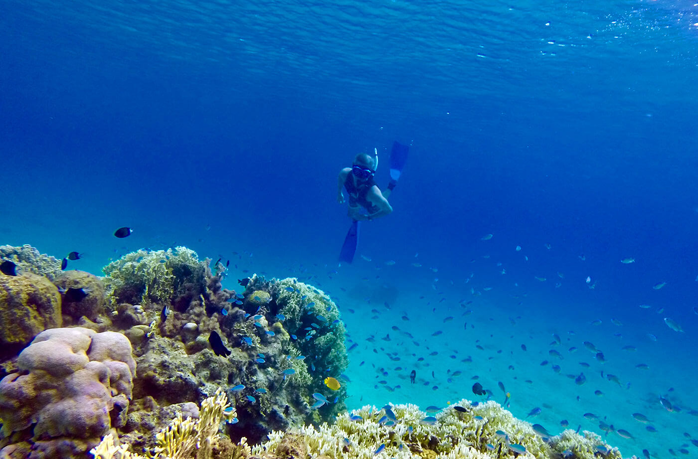 古座間味北で海散歩