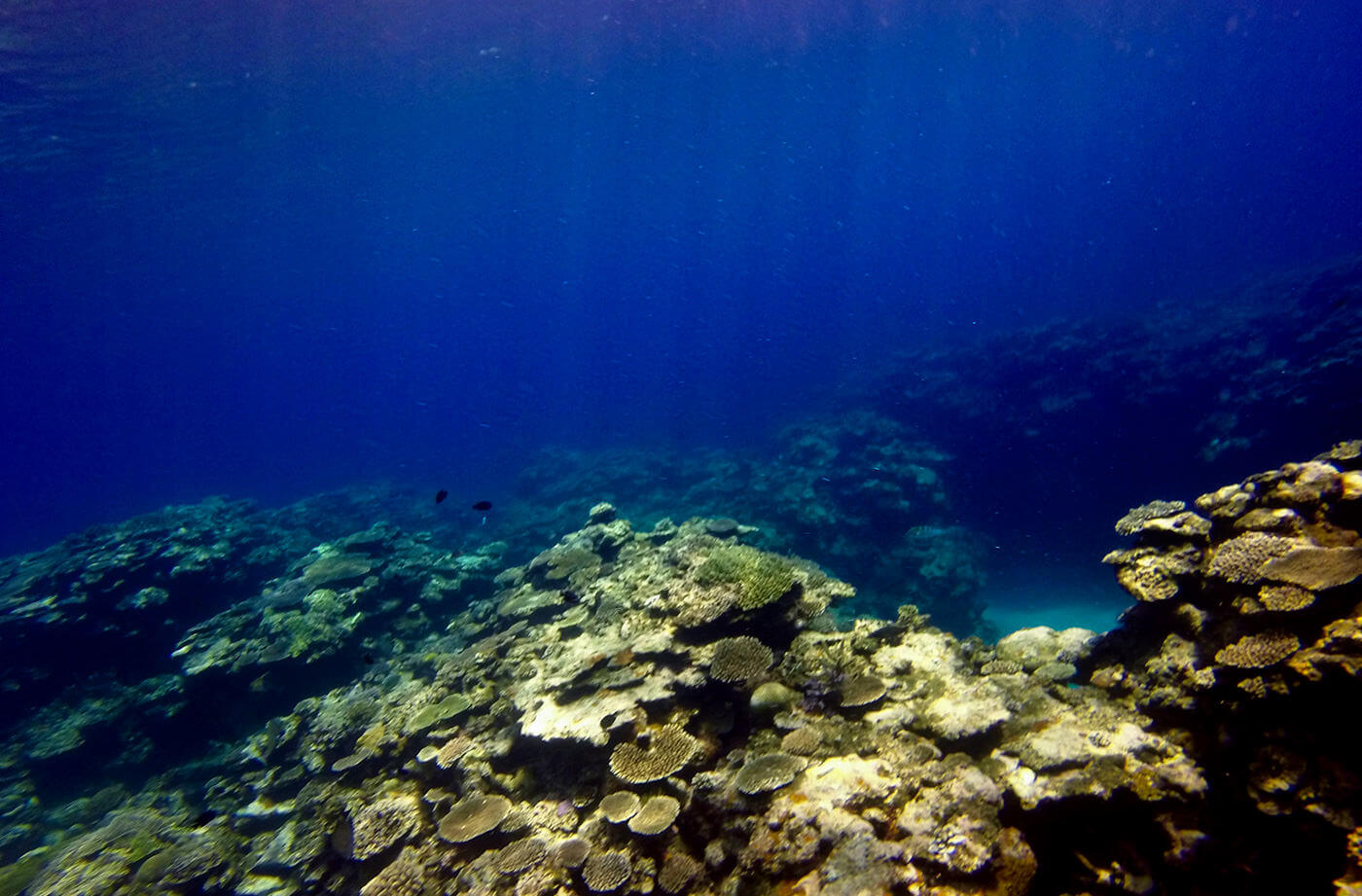 ユヒナ浜の神秘的な海