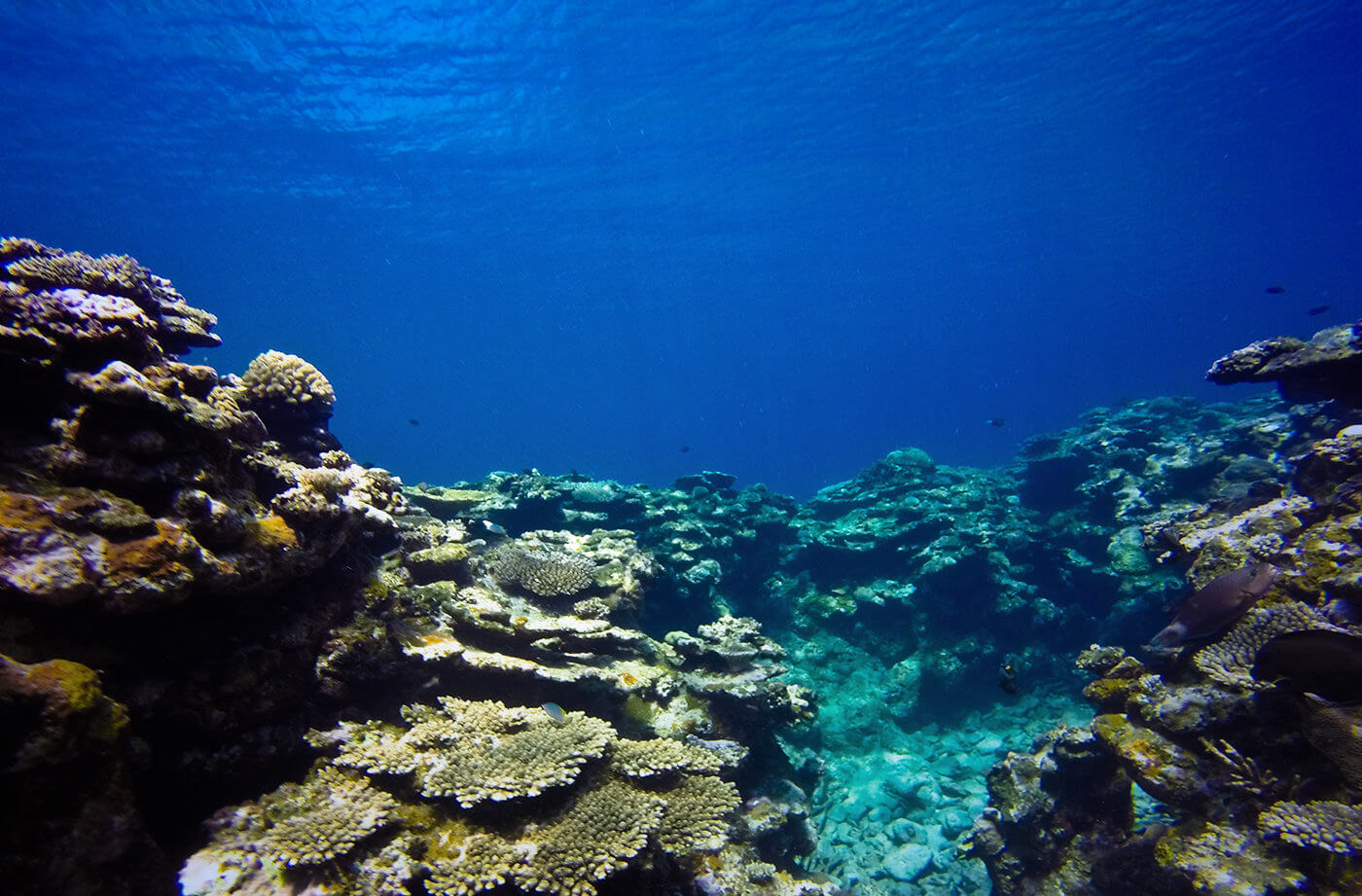 ユヒナ浜の神秘的な海