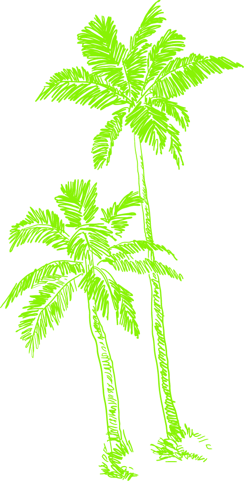 パームツリー